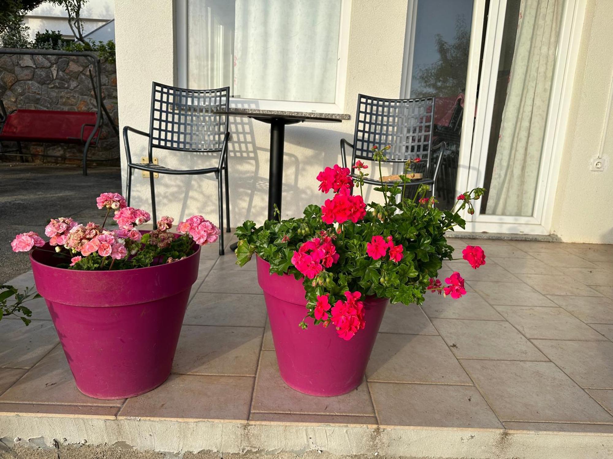Villa Beba - Apartments Senj  Buitenkant foto